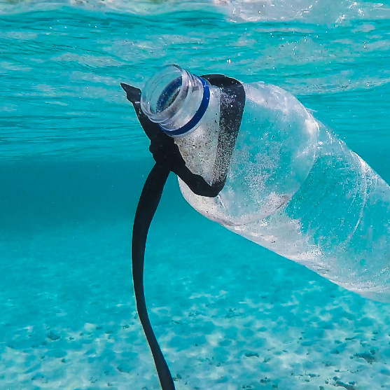 Plásticos en mares y océanos